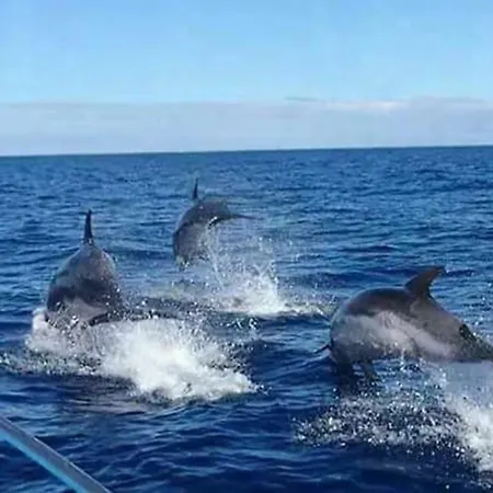 Blue Ocean Camp - *