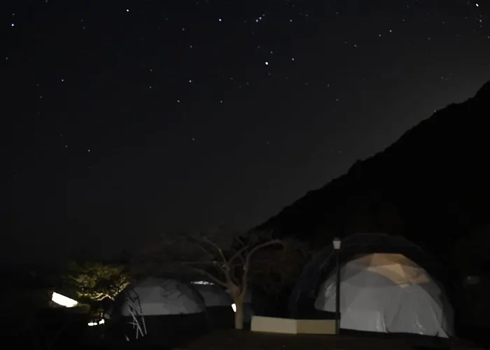 Blue Ocean Camp -