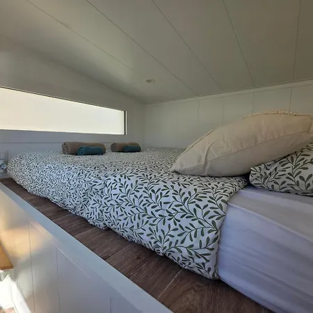 Blue Ocean Camp - Tasartico