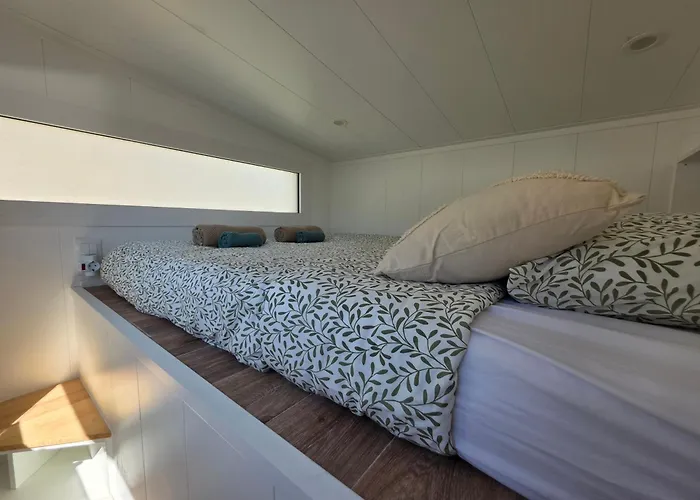 Blue Ocean Camp - Tasartico